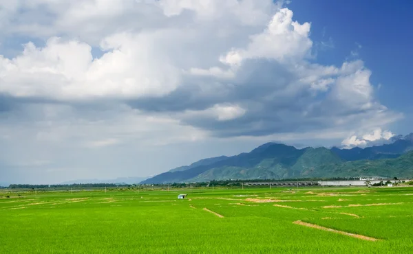 Landschaft aus terrassenförmigen Feldern — Stockfoto