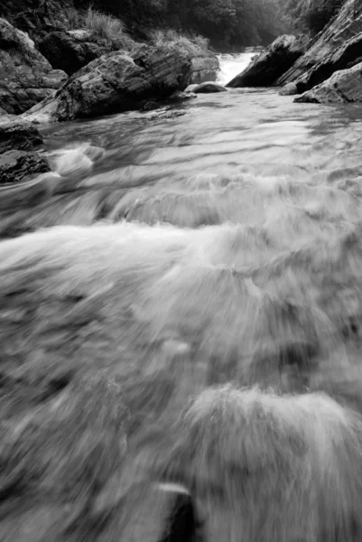 stock image Beautiful river flow over the stone