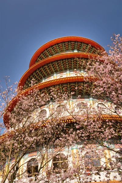 Pagoda and sakura — Stock Photo, Image