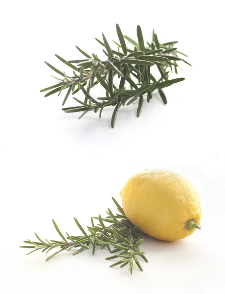 Bio-Zitrone mit Rosmarin isoliert auf weiß — Stockfoto