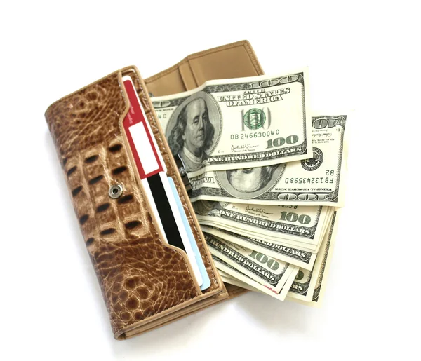 stock image Croco leather wallet with euros isolates on white