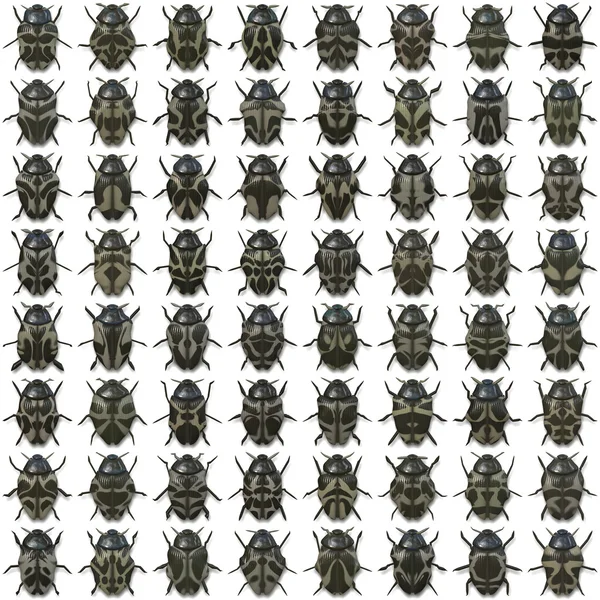 64-insetos — Fotografia de Stock