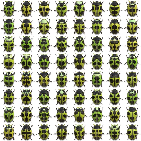 64-insetos — Fotografia de Stock
