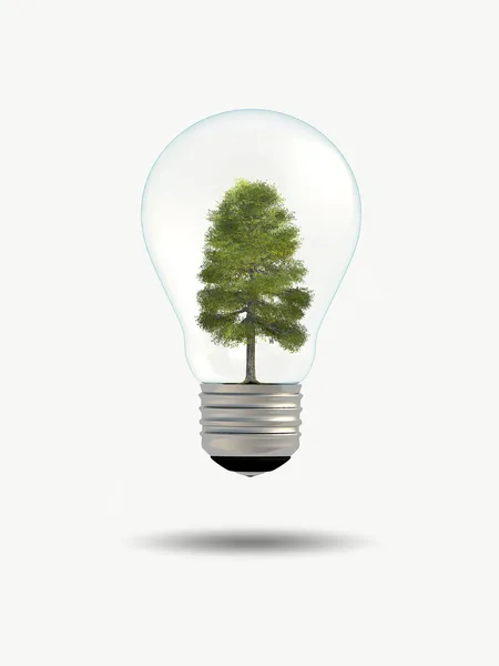 Tree in bulb — Stock Photo, Image