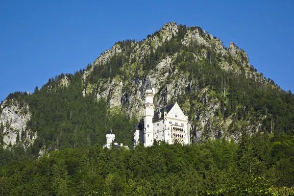 Schloss neuschwanstein — Stockfoto