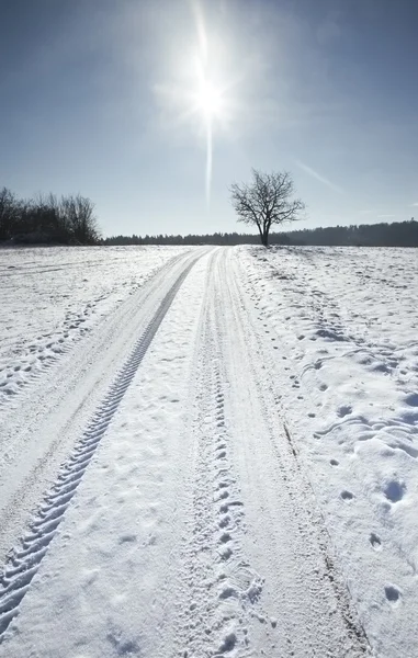 Paisaje de nieve — Foto de Stock