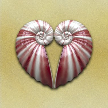 Heart shell clipart