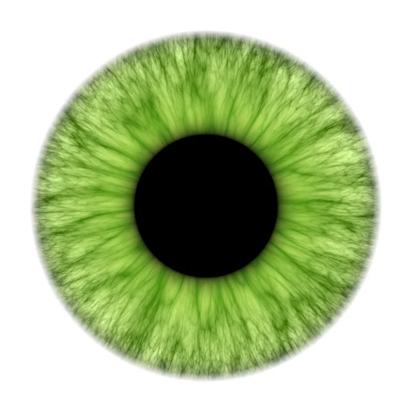 Green iris — Stock Photo, Image