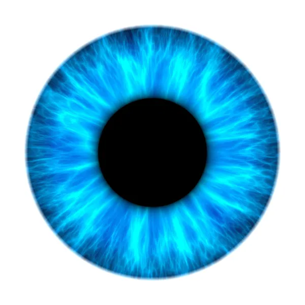 Blaue Iris — Stockfoto