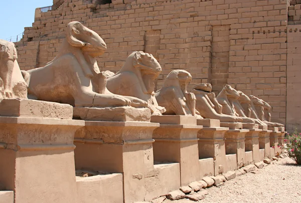 Luxor-Tempel — Stockfoto