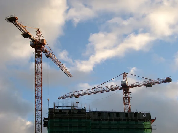 stock image Cranes