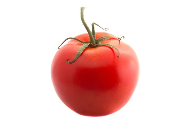 西红柿 图库图片