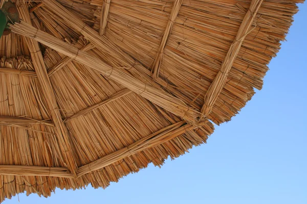 stock image Beach Umbrella