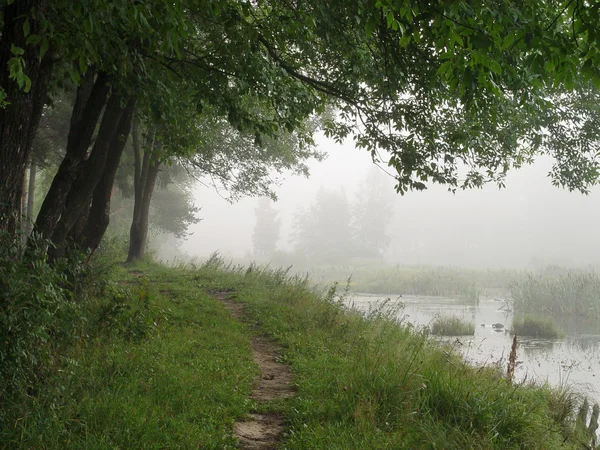 stock image Fog