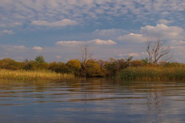 ukrainka Nehri