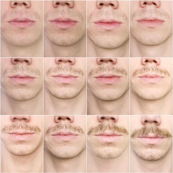 stock image Mustache growing