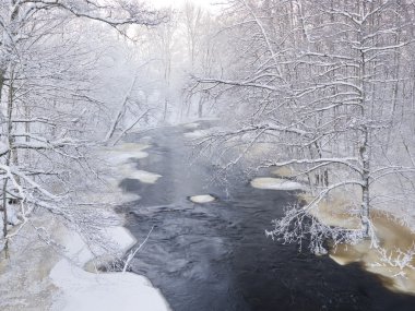 Winter Landscape clipart