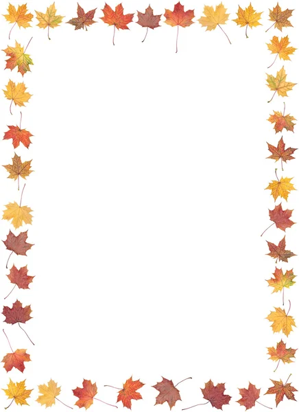Frame of autumn leafs — Stock Photo, Image