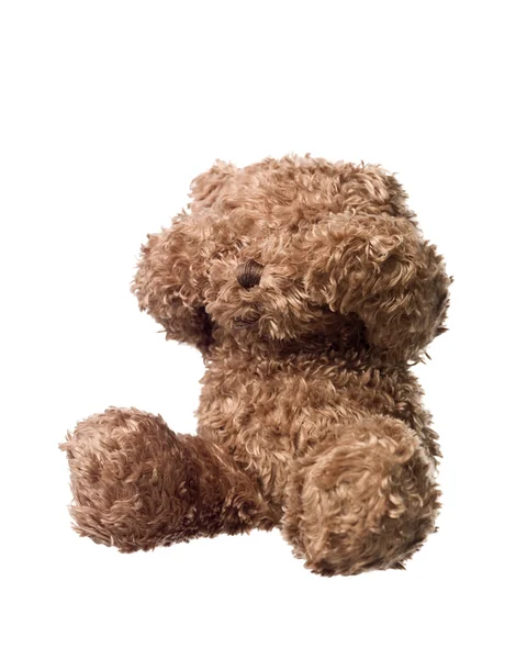 Der scheue Teddybär — Stockfoto