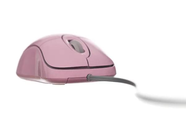 Rato de computador rosa — Fotografia de Stock