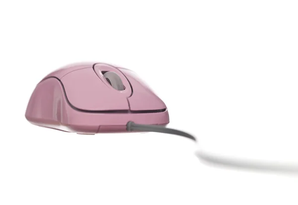 粉红色电脑鼠标 — 图库照片
