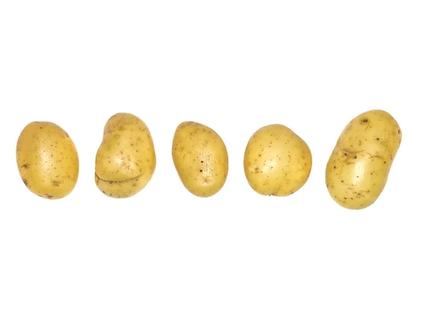 Картофель на ряд — стоковое фото