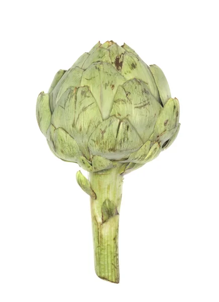 Fresh artichoke — Stock Photo, Image