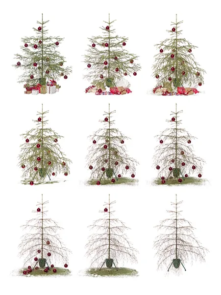 Lapso de tiempo - árbol de Navidad — Stockfoto