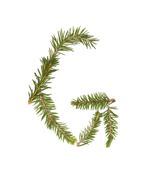 Spruce twigs forming 'G' — Stockfoto