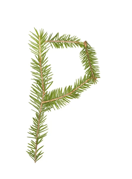 Spruce twigs 'P' — 图库照片