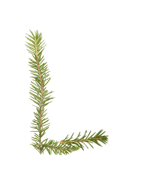 Spruce twigs 'L' — 图库照片