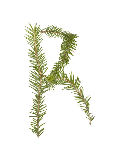 Spruce twigs 'R' — Φωτογραφία Αρχείου