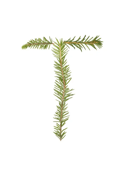 Spruce twigs 'T' — ストック写真