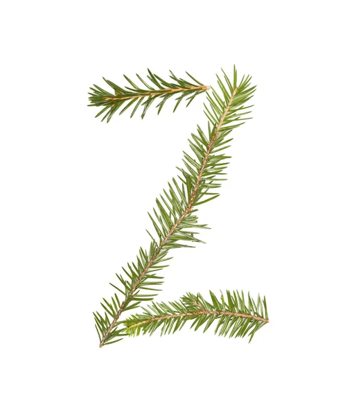 Spruce twigs letter 'Z' — 图库照片