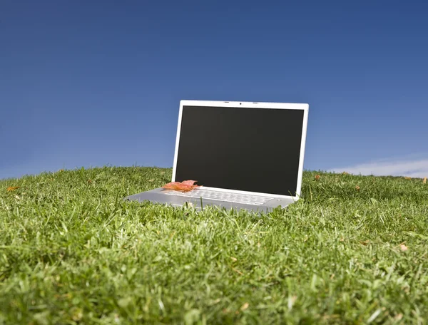 Laptop im Freien auf der grünen Wiese — Stockfoto