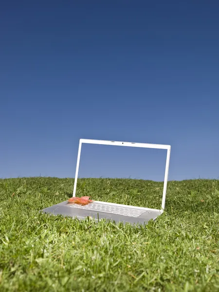 Laptop outdoors on a green field — Stock Photo, Image