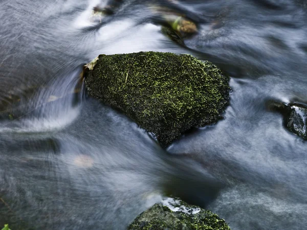 stock image Stone w moss