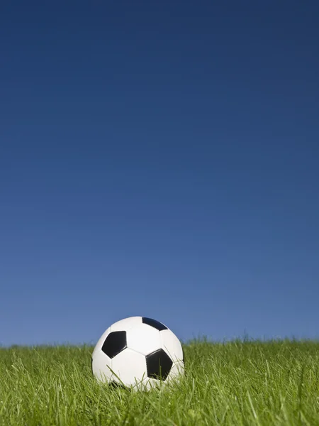 Fotboll på gräs — Stockfoto