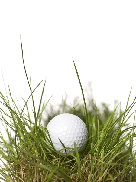 Golf piłka trawa — Zdjęcie stockowe