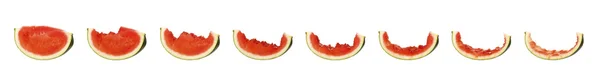 Vattenmelon pågår — Stockfoto
