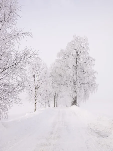 Silnice v zimě — Stock fotografie