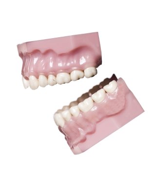 Vintage artificial teeths clipart