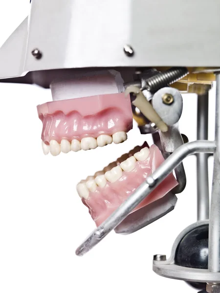 Vintage kunstmatige tanden — Stockfoto