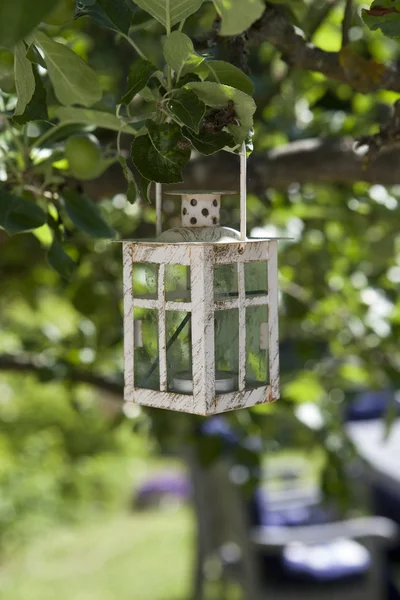 Lantern in tree — Stock Photo, Image