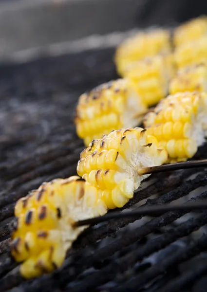 stock image Corn