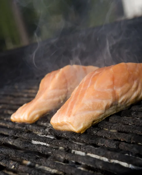 stock image Salmon on the grill