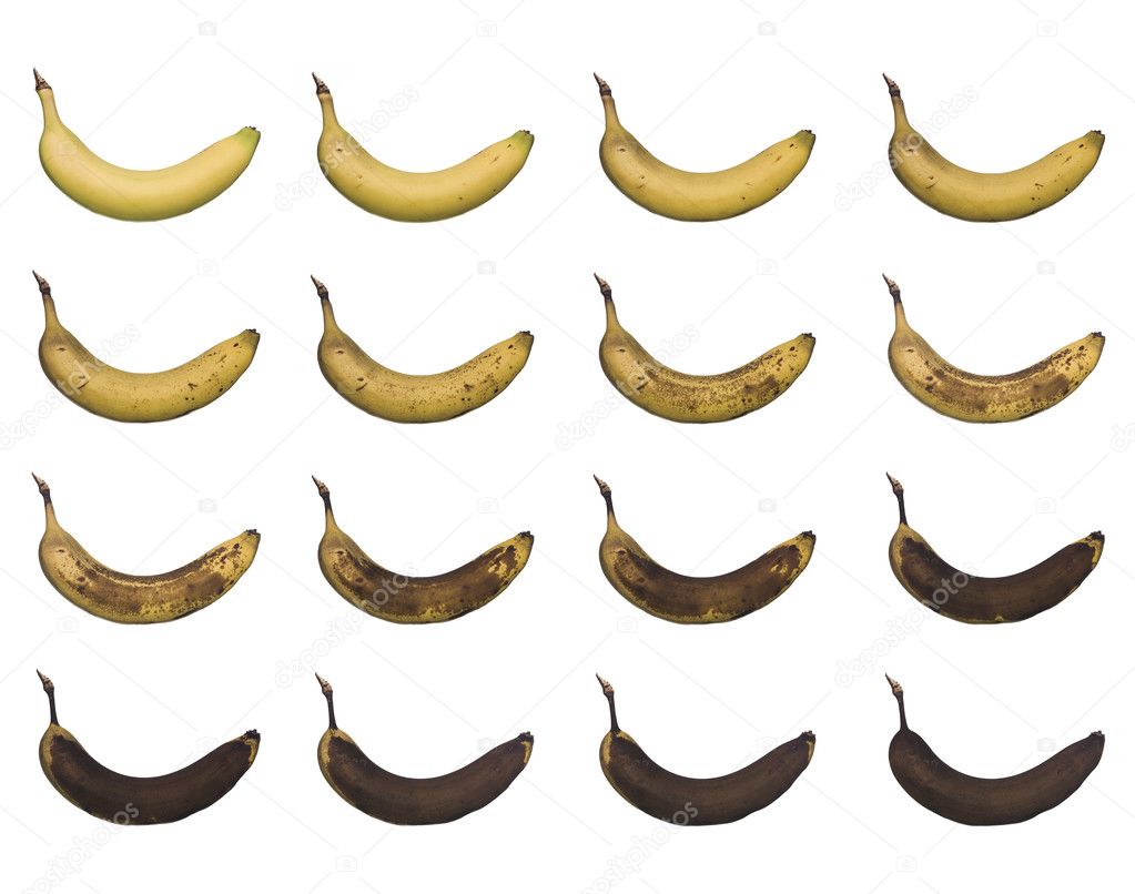 Banana in progress