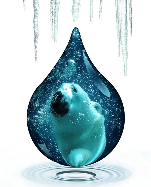 Urso polar e alterações climáticas — Fotografia de Stock