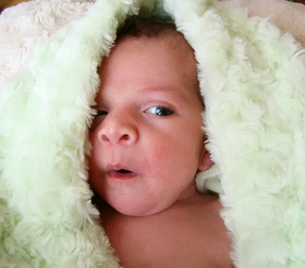 Recém-nascido cara engraçada pikaboo close-up — Fotografia de Stock