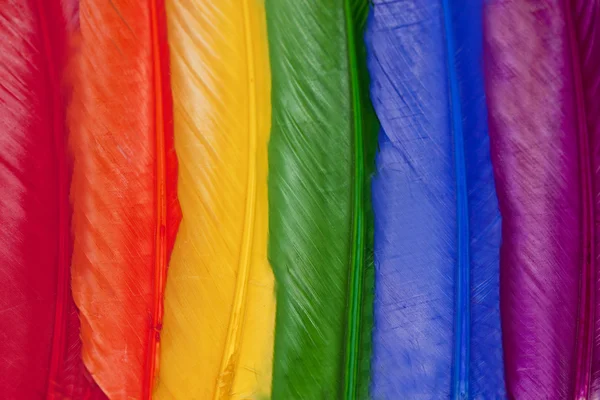 stock image Rainbow feathers